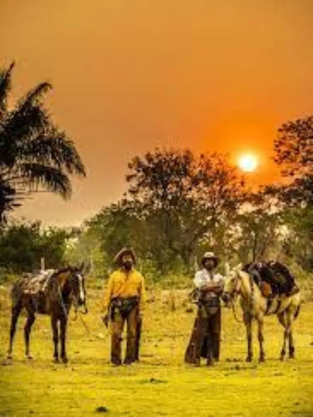 Novela Pantanal caiu no gosto povo