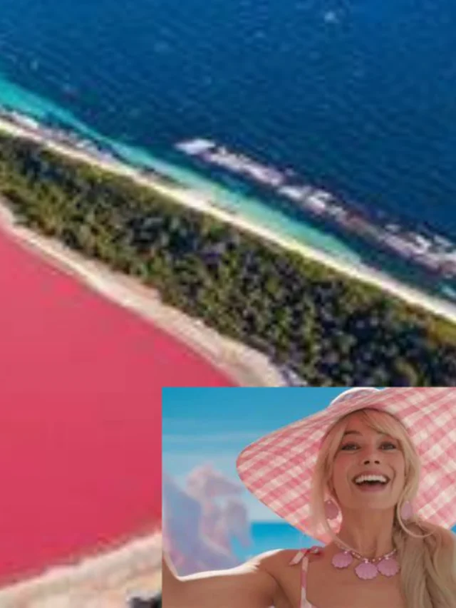 Lago da Barbie Existe na Austrália Fenômeno Lago Cor de Rosa