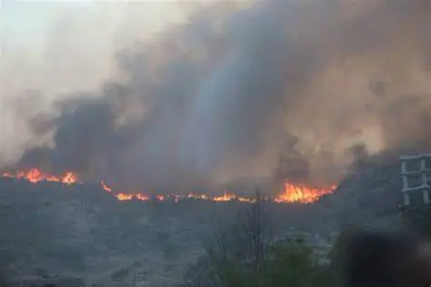 Atenção Incêndio Florestal na Argentina causada por Homem que foi fazer café