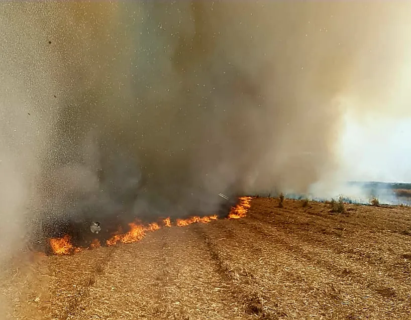 Atenção Tocantins: uma Onda de Calor Acima dos 40 Graus