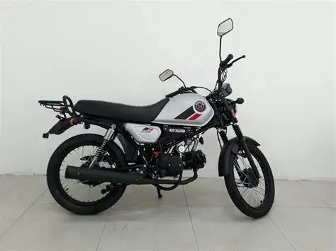 Moto Esportiva Mais Barata que Surpreende Shineray Worker 125